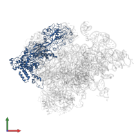 Elongation factor-like GTPase 1 in PDB entry 5anc, assembly 1, front view.