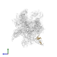 Large ribosomal subunit protein eL24 in PDB entry 5anc, assembly 1, side view.