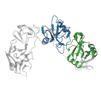 The deposited structure of PDB entry 5ao6 contains 4 copies of Pfam domain PF00059 (Lectin C-type domain) in C-type mannose receptor 2. Showing 2 copies in chain B.