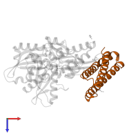 BAG family molecular chaperone regulator 1 in PDB entry 5aqf, assembly 2, top view.