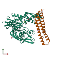 PDB entry 5aqh coloured by chain, front view.