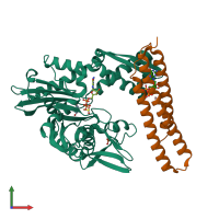 PDB entry 5aqk coloured by chain, front view.
