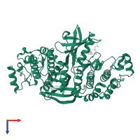 Receptor-interacting serine/threonine-protein kinase 2 in PDB entry 5ar3, assembly 1, top view.