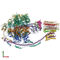 PDB entry 5ara coloured by chain, front view.