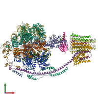 PDB entry 5arh coloured by chain, front view.