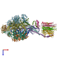 PDB entry 5arh coloured by chain, top view.