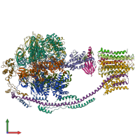 PDB entry 5ari coloured by chain, front view.