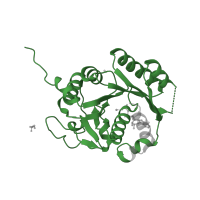 The deposited structure of PDB entry 5aun contains 1 copy of CATH domain 3.40.50.300 (Rossmann fold) in Iron-sulfur cluster carrier protein. Showing 1 copy in chain B.