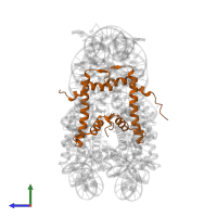 Histone H4 in PDB entry 5av6, assembly 1, side view.