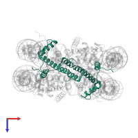 Histone H3.1 in PDB entry 5avc, assembly 1, top view.