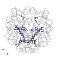 Histone H2A type 1-B/E in PDB entry 5avc, assembly 1, front view.