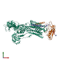 PDB entry 5avq coloured by chain, front view.