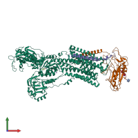 PDB entry 5avv coloured by chain, front view.