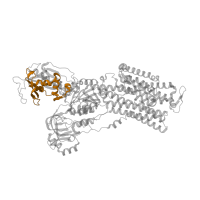 The deposited structure of PDB entry 5avw contains 1 copy of Pfam domain PF13246 (Cation transport ATPase (P-type)) in Sodium/potassium-transporting ATPase subunit alpha. Showing 1 copy in chain A.