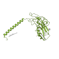 The deposited structure of PDB entry 5avw contains 1 copy of Pfam domain PF00287 (Sodium / potassium ATPase beta chain) in Sodium/potassium-transporting ATPase subunit beta. Showing 1 copy in chain B.
