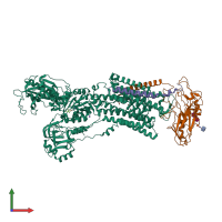 Hetero trimeric assembly 1 of PDB entry 5avw coloured by chemically distinct molecules, front view.