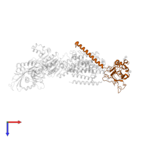 Sodium/potassium-transporting ATPase subunit beta in PDB entry 5avw, assembly 1, top view.