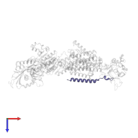 FXYD domain-containing ion transport regulator in PDB entry 5avw, assembly 1, top view.