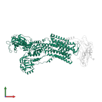 Sodium/potassium-transporting ATPase subunit alpha in PDB entry 5avz, assembly 1, front view.
