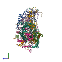 Hetero 13-meric assembly 2 of PDB entry 5b1b coloured by chemically distinct molecules, side view.