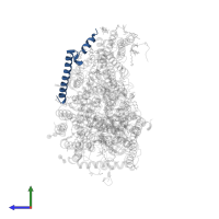 Cytochrome c oxidase subunit 7A1, mitochondrial in PDB entry 5b1b, assembly 2, side view.