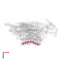 Cytochrome c oxidase subunit 7C, mitochondrial in PDB entry 5b1b, assembly 2, top view.
