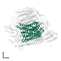 Cytochrome c oxidase subunit 1 in PDB entry 5b1b, assembly 2, front view.