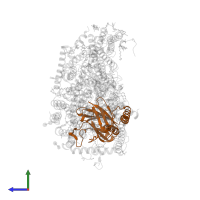Cytochrome c oxidase subunit 2 in PDB entry 5b1b, assembly 2, side view.