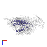 Cytochrome c oxidase subunit 3 in PDB entry 5b1b, assembly 2, top view.