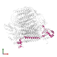Cytochrome c oxidase subunit 4 isoform 1, mitochondrial in PDB entry 5b1b, assembly 2, front view.