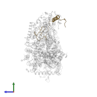 Cytochrome c oxidase subunit 6A2, mitochondrial in PDB entry 5b1b, assembly 2, side view.