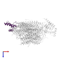 Cytochrome c oxidase subunit 6B1 in PDB entry 5b1b, assembly 2, top view.
