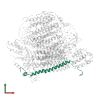 Cytochrome c oxidase subunit 6C in PDB entry 5b1b, assembly 2, front view.