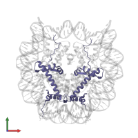 Histone H2A type 1-B/E in PDB entry 5b24, assembly 1, front view.
