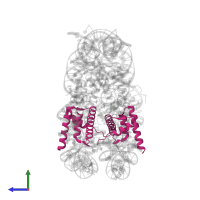 Histone H2B type 1-J in PDB entry 5b24, assembly 1, side view.