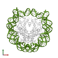 DNA (146-MER) in PDB entry 5b2j, assembly 1, front view.