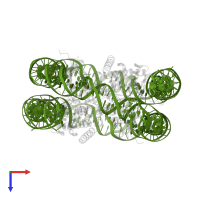 DNA (146-MER) in PDB entry 5b2j, assembly 1, top view.