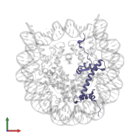 Histone H2A type 1-B/E in PDB entry 5b32, assembly 1, front view.