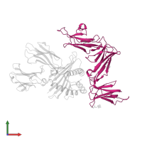 Killer cell immunoglobulin-like receptor 3DL1 in PDB entry 5b39, assembly 1, front view.