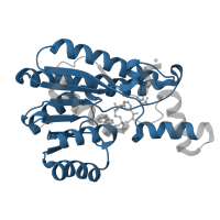 The deposited structure of PDB entry 5b4t contains 1 copy of Pfam domain PF00106 (short chain dehydrogenase) in 3-hydroxybutyrate dehydrogenase. Showing 1 copy in chain A.
