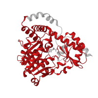 The deposited structure of PDB entry 5bk7 contains 8 copies of Pfam domain PF00155 (Aminotransferase class I and II) in Aminotransferase class I/classII domain-containing protein. Showing 1 copy in chain H.
