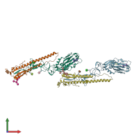 PDB entry 5br6 coloured by chain, front view.