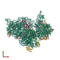 PDB entry 5br8 coloured by chain, front view.