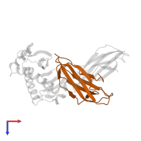 Beta-2-microglobulin in PDB entry 5bxf, assembly 2, top view.