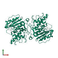 Fucosylglycoprotein alpha-N-acetylgalactosaminyltransferase soluble form in PDB entry 5c3d, assembly 1, front view.
