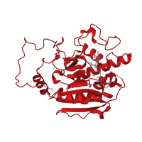 The deposited structure of PDB entry 5c4e contains 1 copy of CATH domain 3.90.550.10 (Spore Coat Polysaccharide Biosynthesis Protein SpsA; Chain A) in Fucosylglycoprotein alpha-N-acetylgalactosaminyltransferase soluble form. Showing 1 copy in chain A.