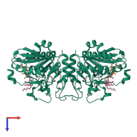 Homo dimeric assembly 1 of PDB entry 5c4e coloured by chemically distinct molecules, top view.