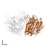 DNA polymerase subunit gamma-2 in PDB entry 5c53, assembly 1, front view.
