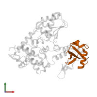 Ubiquitin in PDB entry 5c7m, assembly 1, front view.
