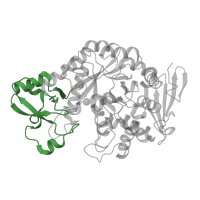 The deposited structure of PDB entry 5c8b contains 1 copy of CATH domain 3.90.400.10 (Oligo-1,6-glucosidase; domain 2) in Sucrose phosphorylase. Showing 1 copy in chain A [auth B].
